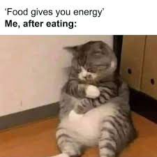 Time to sleep🤣😪